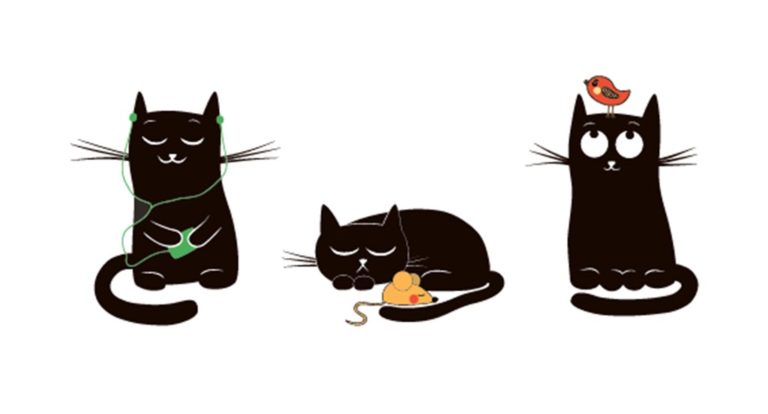comme un chat